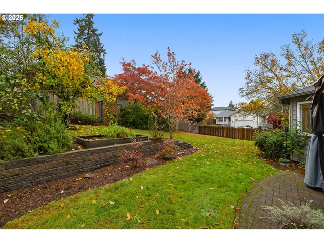 a view of a backyard