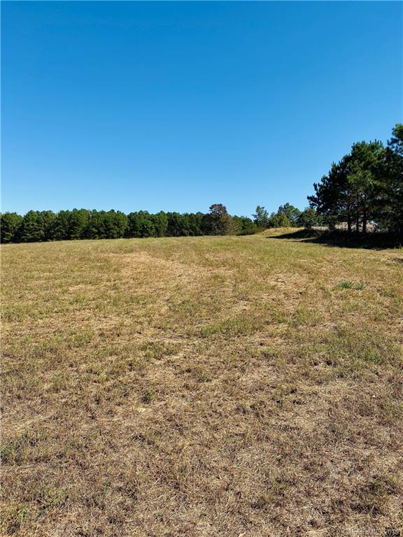 0 Niven Road, Unit E Lancaster, SC 29720 - Photo 2 of 3