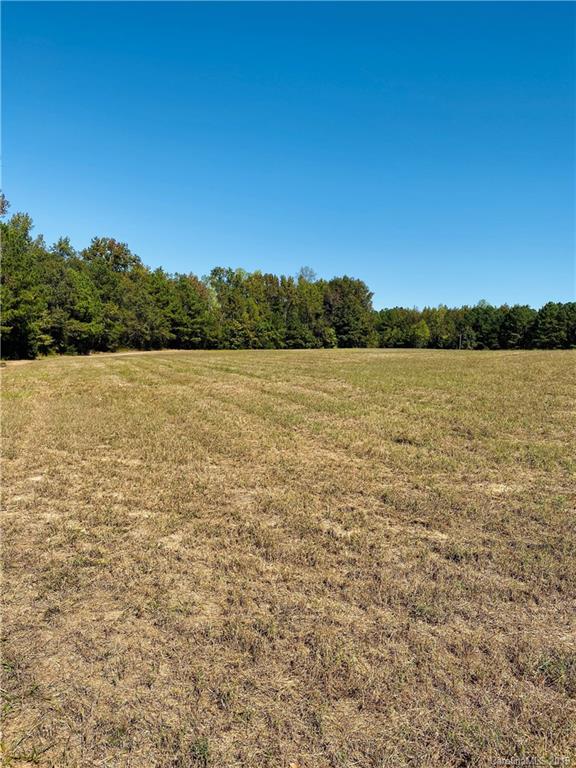 0 Niven Road, Unit E Lancaster, SC 29720 - Photo 3 of 3