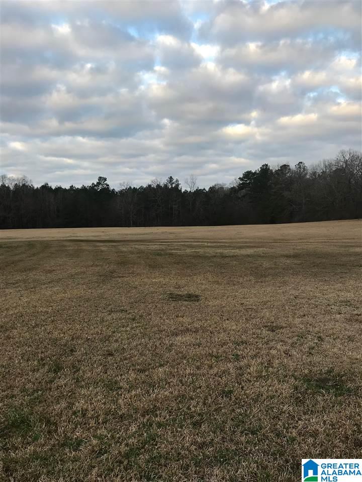 1547 Fulton Gap Road Sylacauga, AL 35150 - Photo 3 of 46