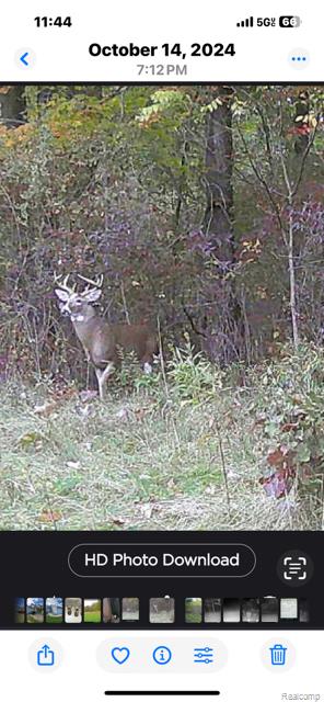 14191 Seymour Road Linden, MI 48451 - Photo 48 of 58