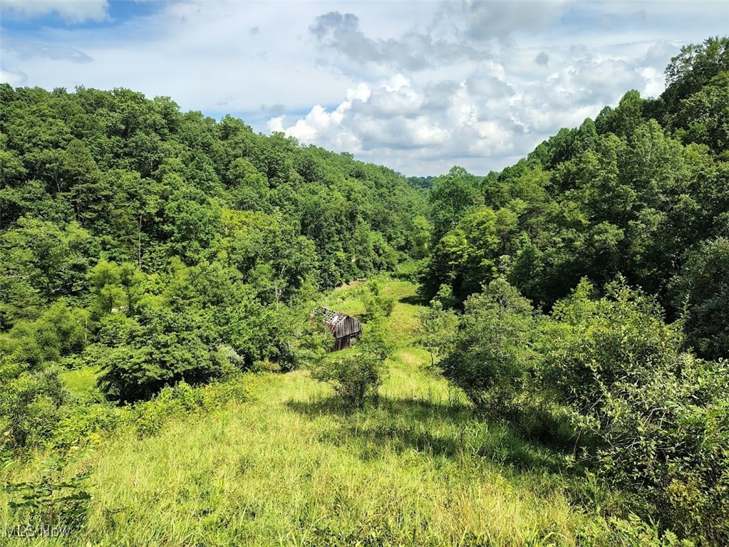 226 Banner Hill Road Spencer, WV 25276 - Photo 32 of 35