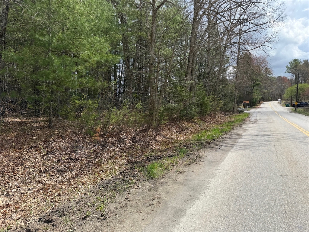 196 Old Webster Road Oxford, MA 01540 - Photo 4 of 6 a view of a yard with a trees