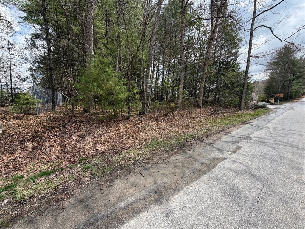 196 Old Webster Road Oxford, MA 01540 - Photo 5 of 6 a view of a yard with plants and trees