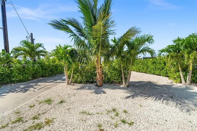 a view of a yard with a plant