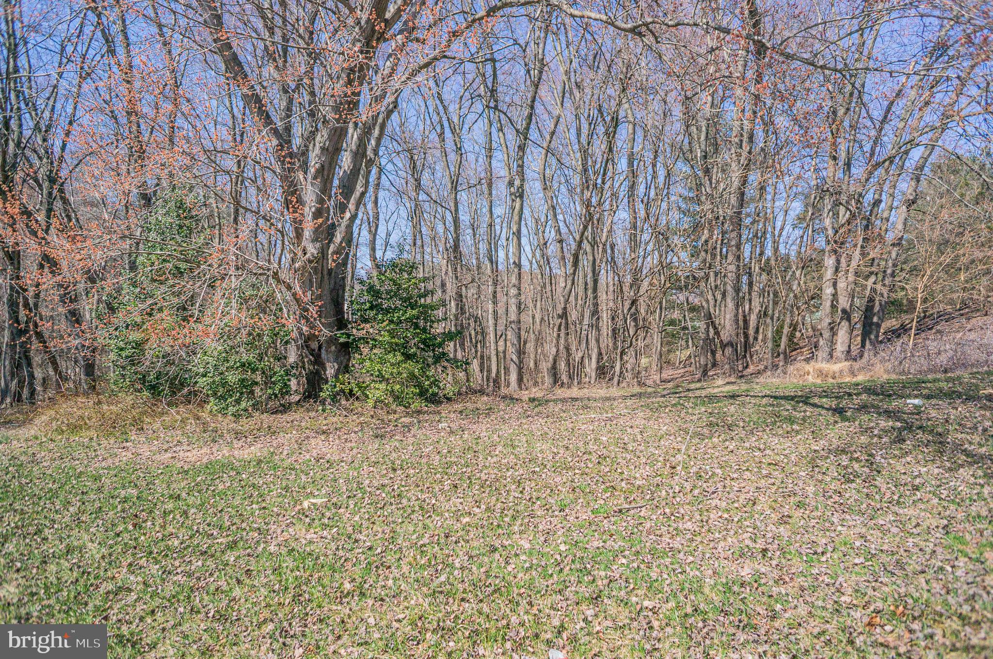 Upper Beckleysville Road Hampstead, MD 21074 - Photo 4 of 8
