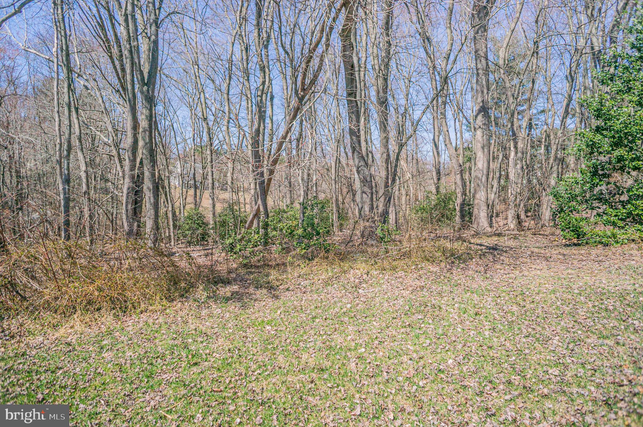Upper Beckleysville Road Hampstead, MD 21074 - Photo 5 of 8
