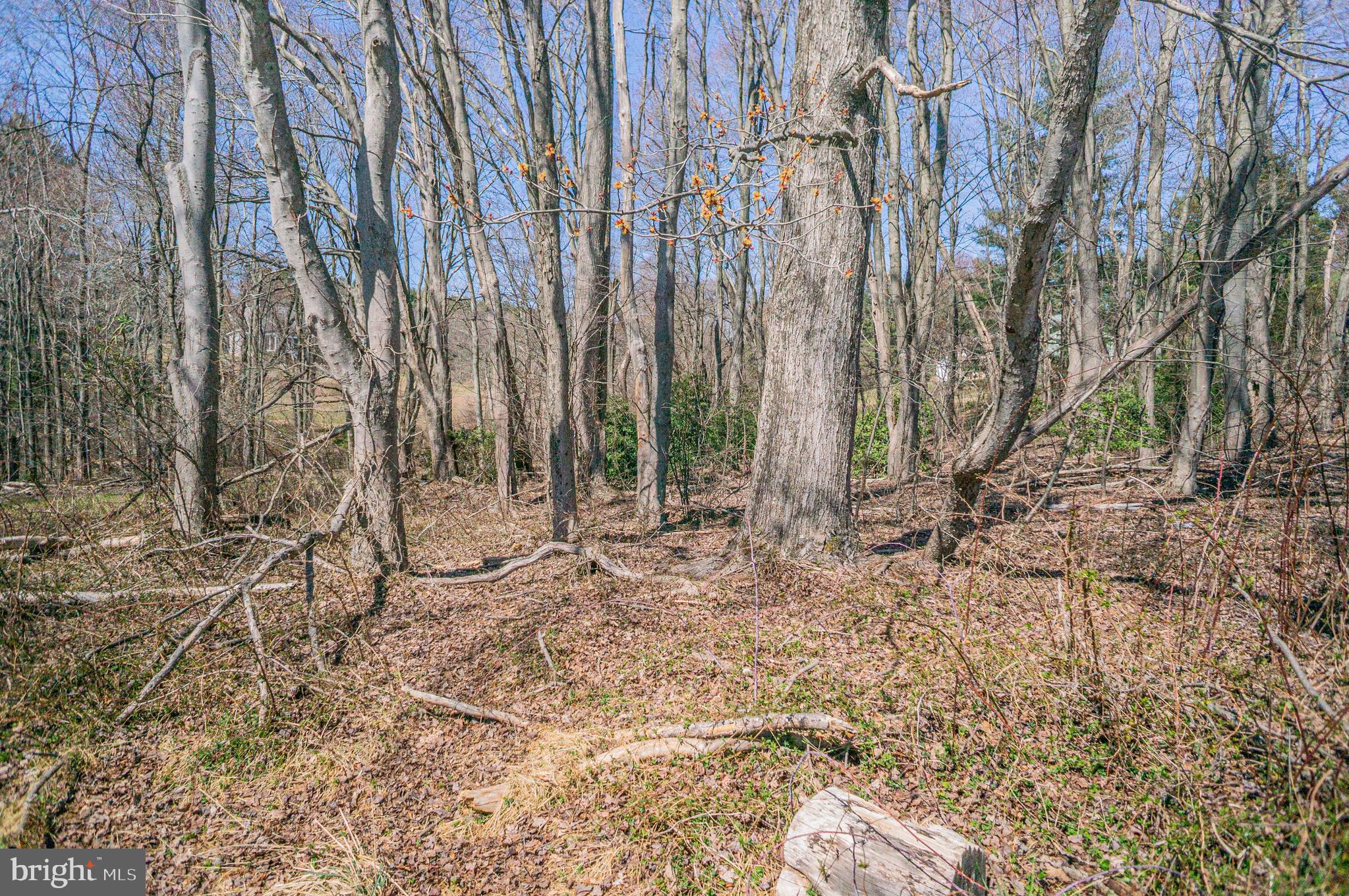 Upper Beckleysville Road Hampstead, MD 21074 - Photo 6 of 8