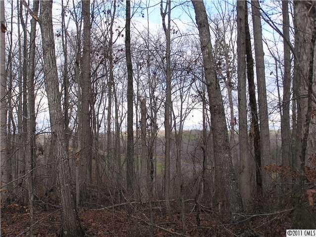 Lot 1 Ranger Road Clover, SC 29710 - Photo 2 of 16
