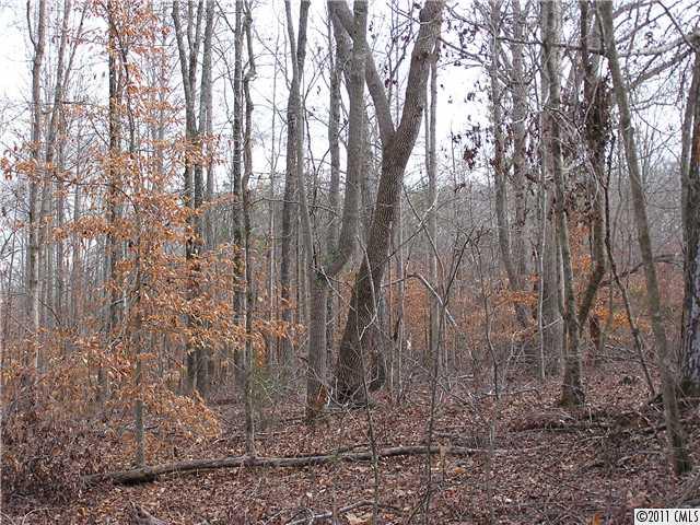 Lot 1 Ranger Road Clover, SC 29710 - Photo 3 of 16