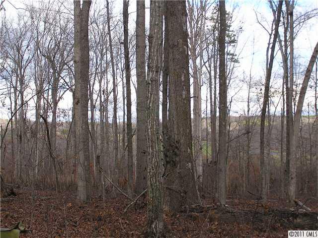 Lot 1 Ranger Road Clover, SC 29710 - Photo 5 of 16