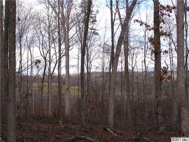 Lot 1 Ranger Road Clover, SC 29710 - Photo 6 of 16