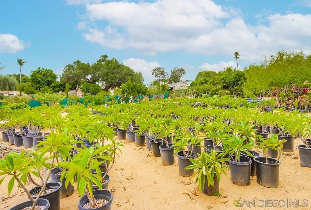 732 Hamilton Lane Fallbrook, CA 92028 - Photo 36 of 54