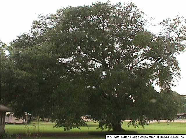 46107 La Highway Belle Rose, LA 70341 - Photo 4 of 4