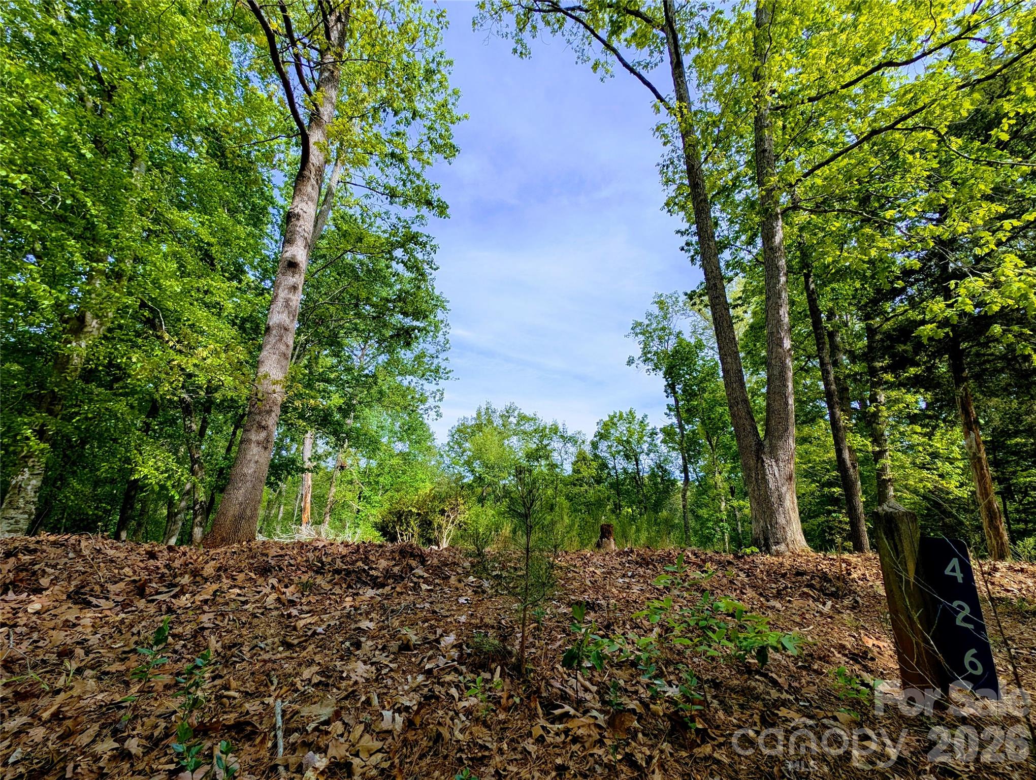 426 Mountain Ridge Court Fort Mill, SC 29707 - Photo 3 of 5 a backyard of a house with lots of green space