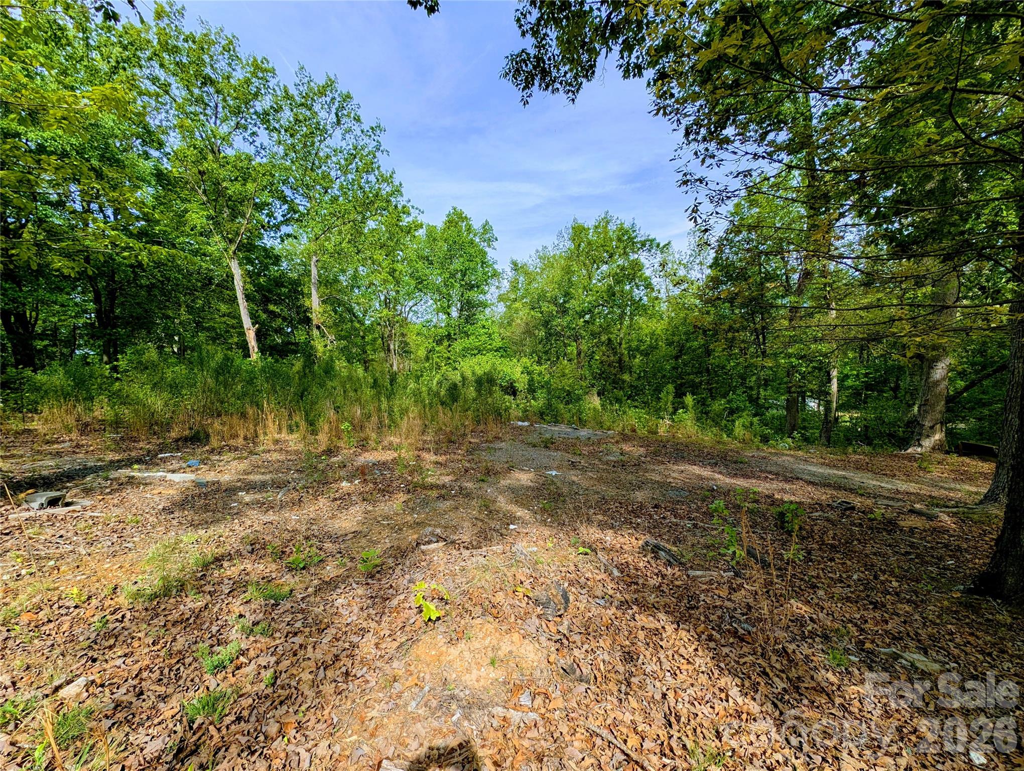 426 Mountain Ridge Court Fort Mill, SC 29707 - Photo 5 of 5 a view of a yard with plants and large trees