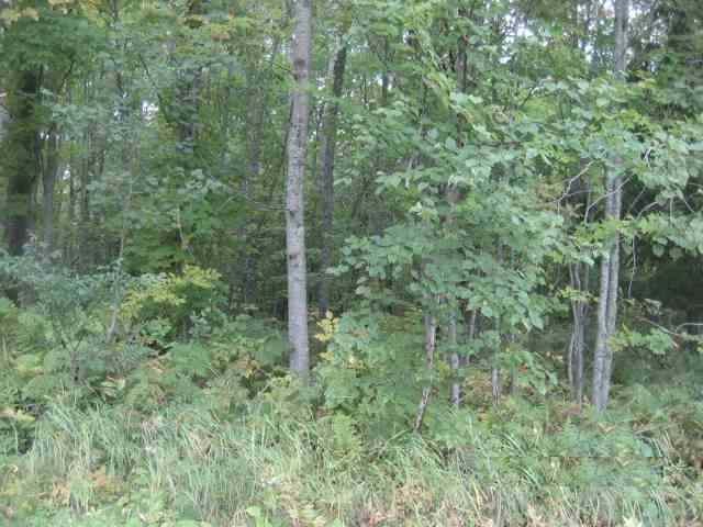 Tbd Conhartoski Road Hurley, WI 54534 - Photo 8 of 12 Gallery Image 8