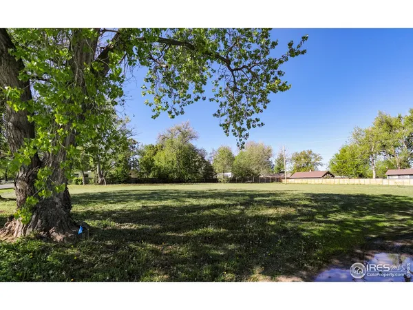 a view of a field with an trees