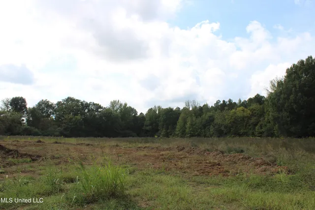 $115,000 | 17 Old Barn Cove, Hernando, MS 38632