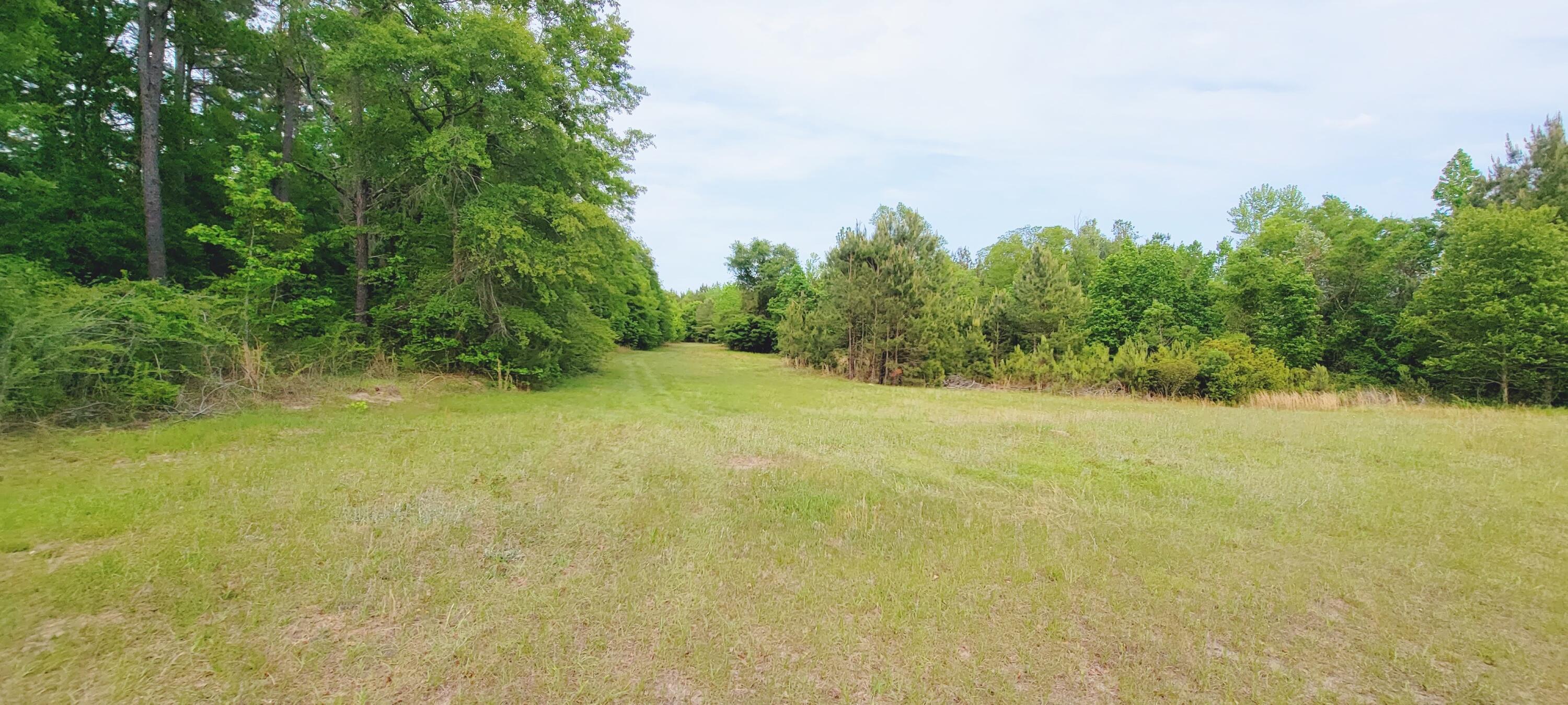1301 Classic Road Branchville, SC 29432 - Photo 17 of 55 20210429_165542
