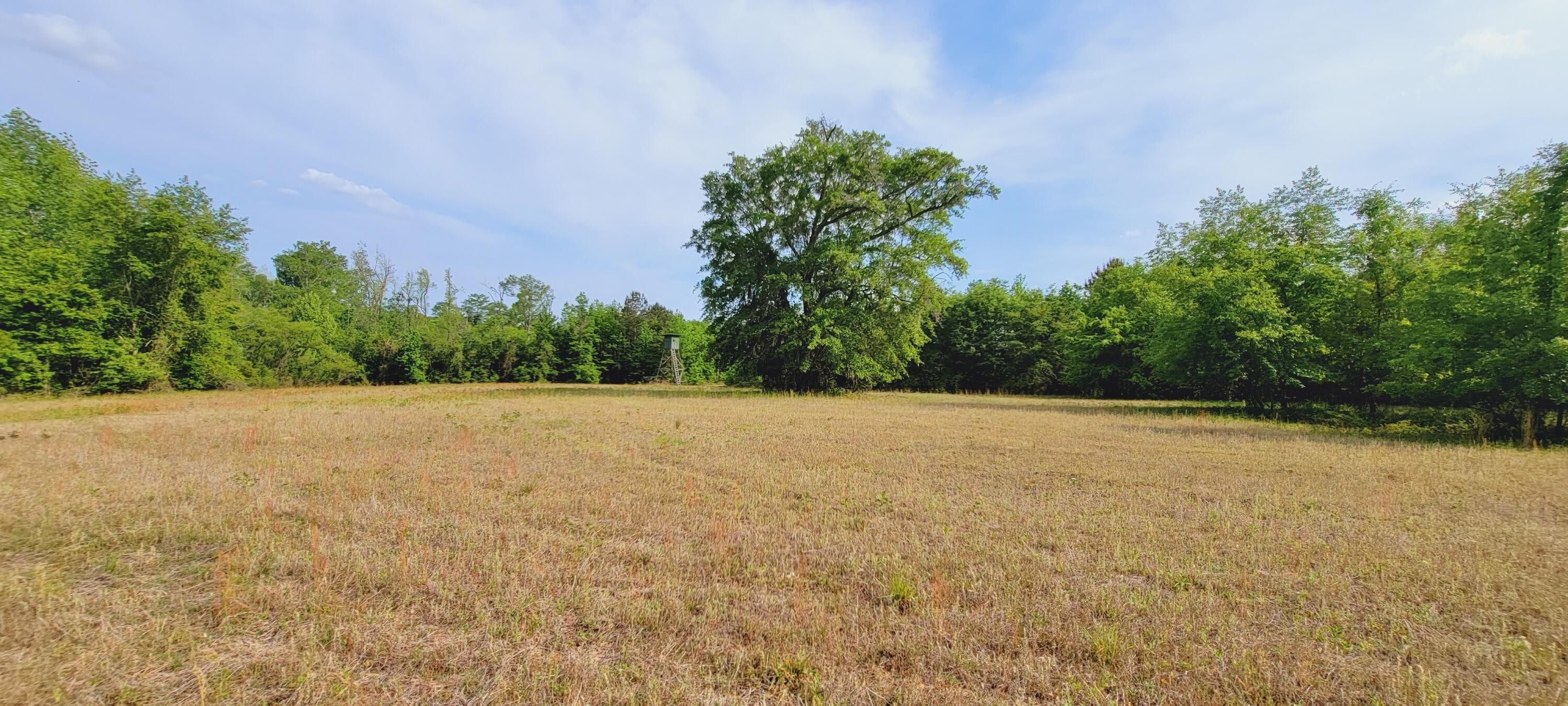 1301 Classic Road Branchville, SC 29432 - Photo 25 of 55 20210429_170051