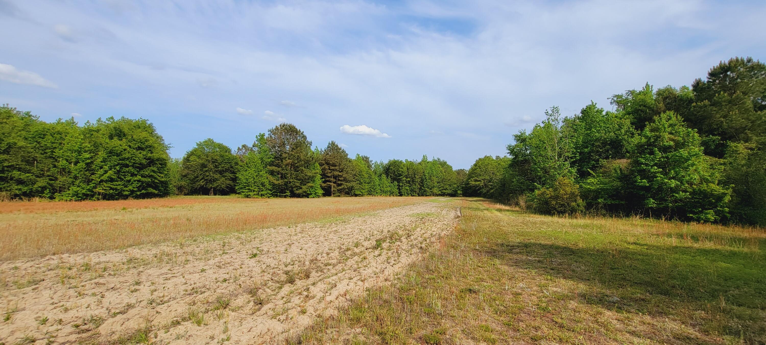 1301 Classic Road Branchville, SC 29432 - Photo 33 of 55 20210429_170517