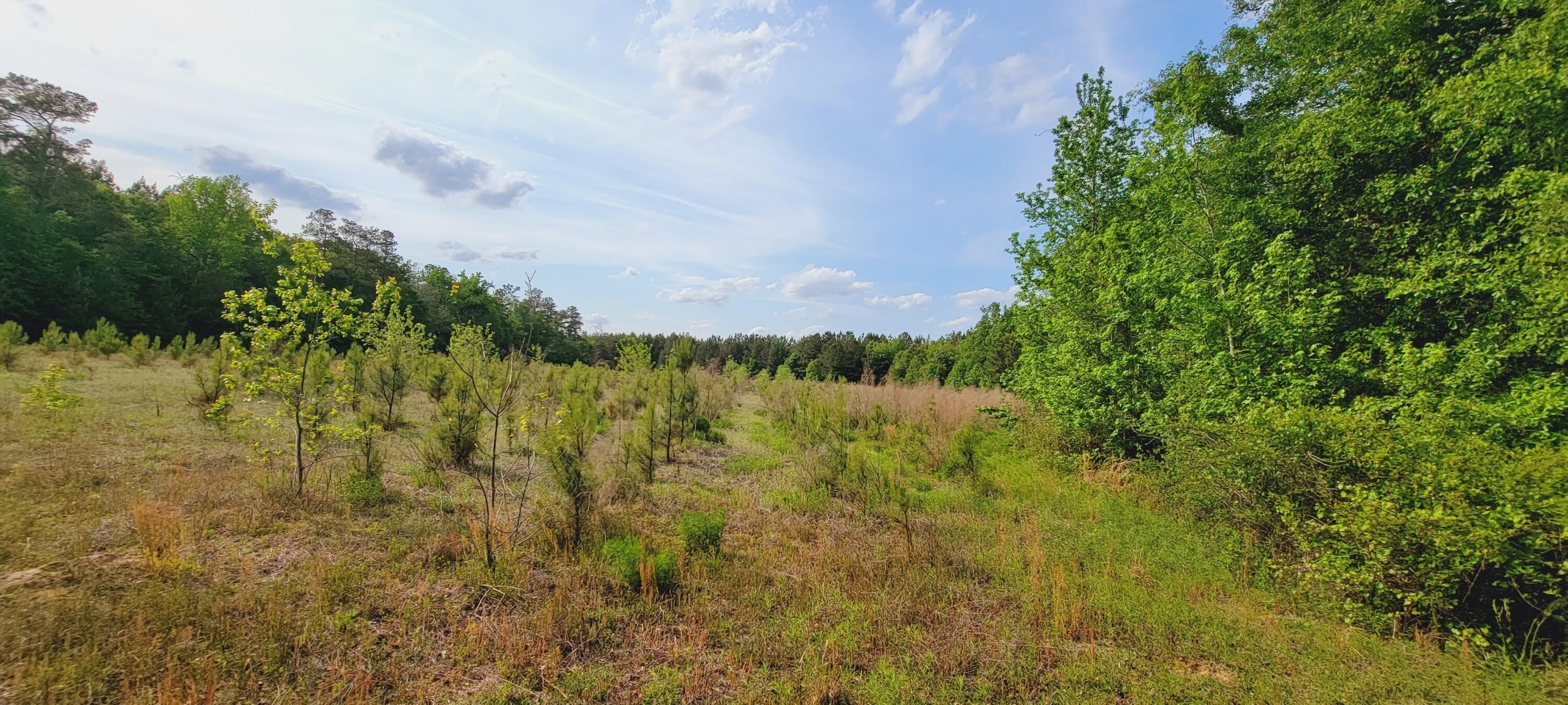 1301 Classic Road Branchville, SC 29432 - Photo 39 of 55 20210429_171157