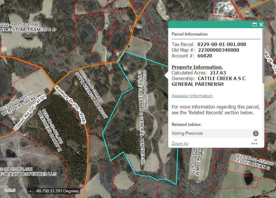 1301 Classic Road Branchville, SC 29432 - Photo 47 of 55 GIS Image