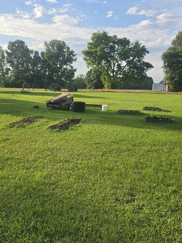 705 Edgar Olive Road Marthaville, LA 71450 - Photo 12 of 15