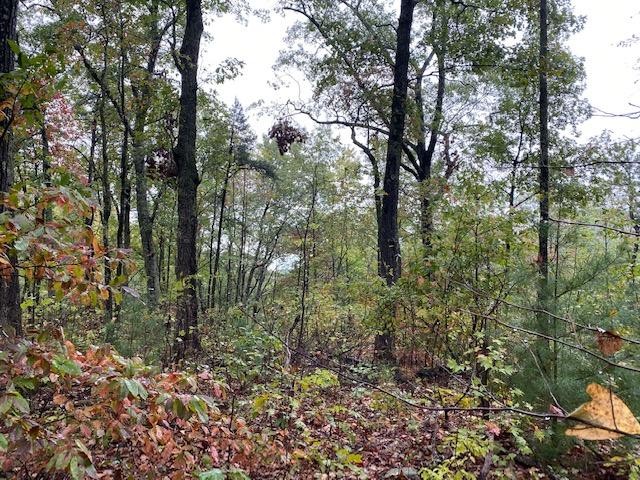 36746 Flat Branch Road Del Rio, TN 37727 - Photo 19 of 32