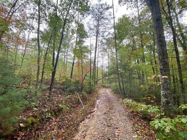 36746 Flat Branch Road Del Rio, TN 37727 - Photo 6 of 32