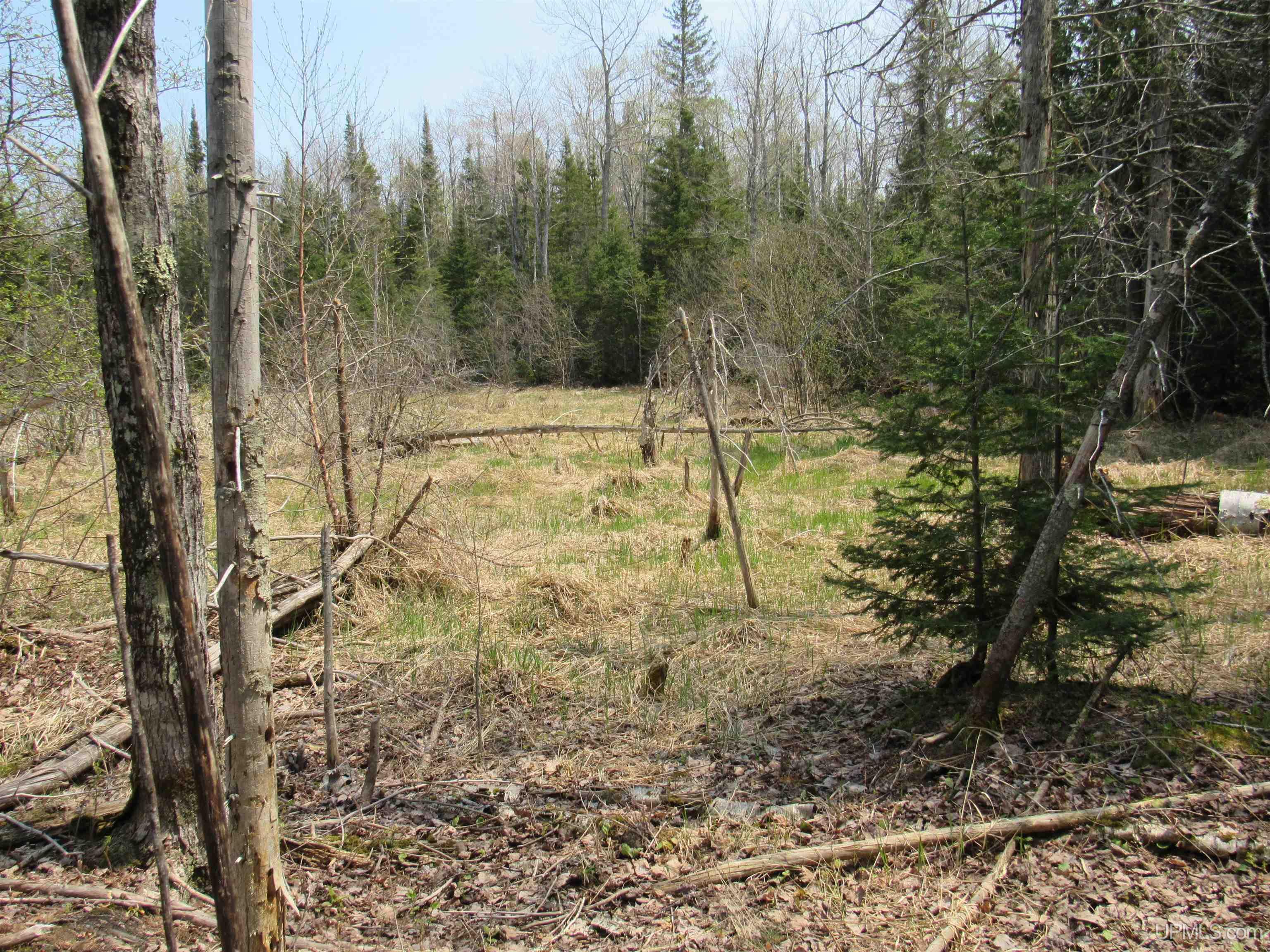 Tbd Deerton-sand Lake Road Deerton, MI 49822 - Photo 16 of 23