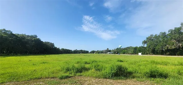 a view of a grassy field