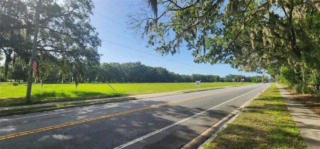 a view of a park with large trees