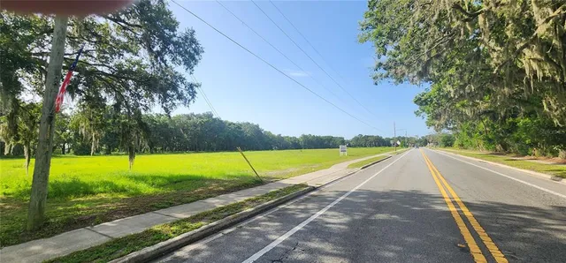 a view of a swimming pool with a yard and a large tree