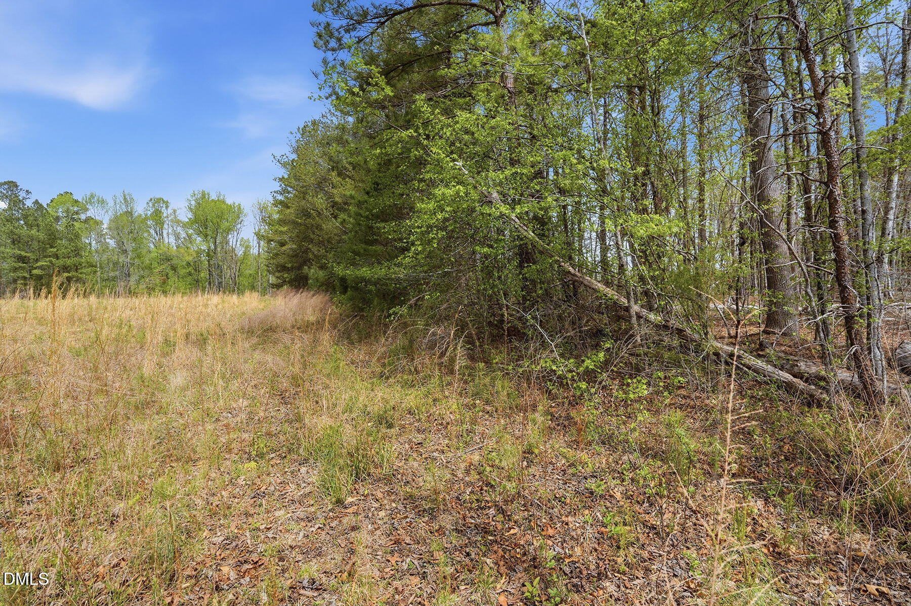 6134 Bob Daniel Road Oxford, NC 27565 - Photo 12 of 13 11-web-or-mls-6134 Bob Daniel rd-54