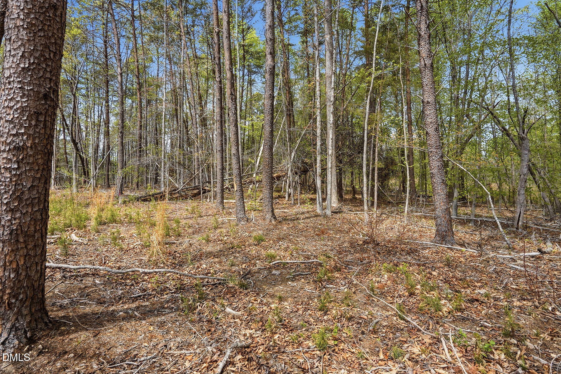 6134 Bob Daniel Road Oxford, NC 27565 - Photo 13 of 13 13-web-or-mls-6134 Bob Daniel rd-64