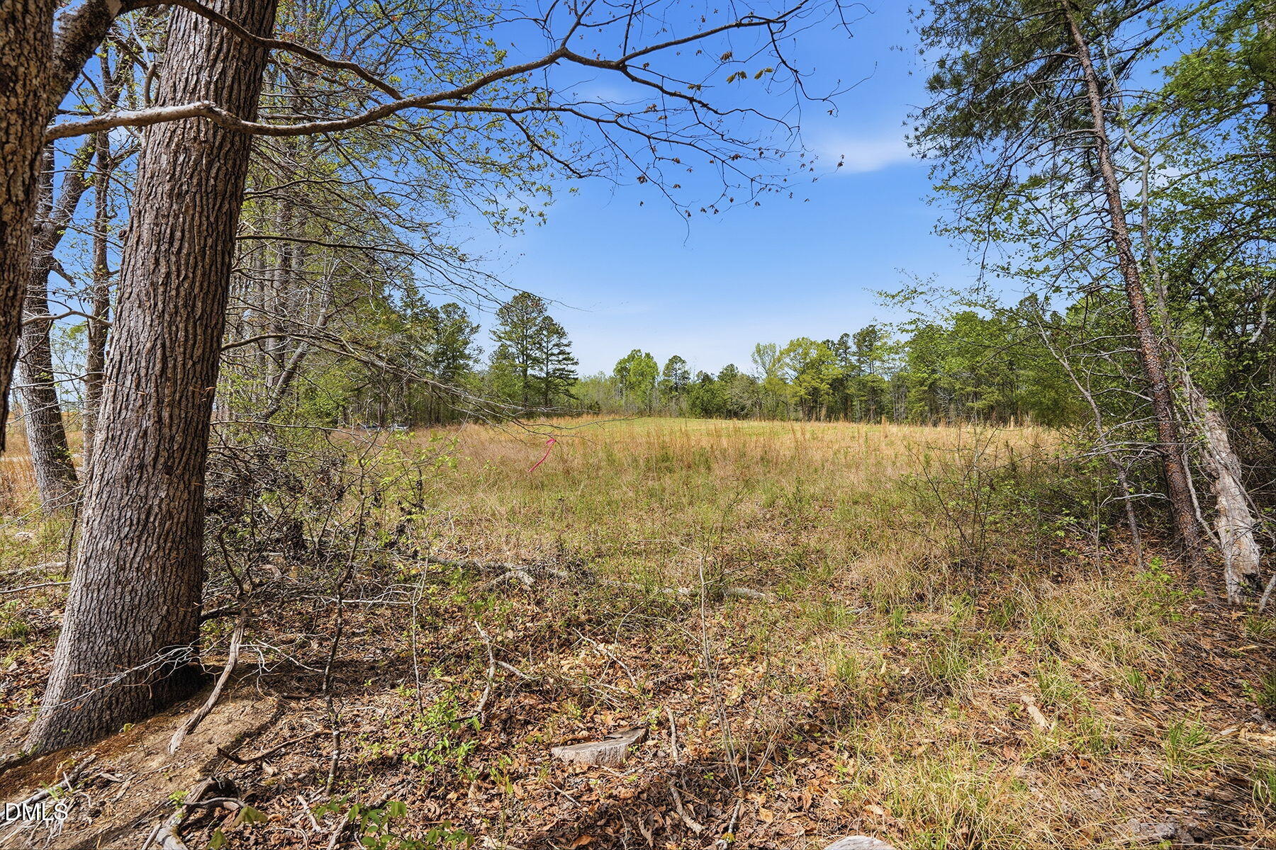 6134 Bob Daniel Road Oxford, NC 27565 - Photo 9 of 13 12-web-or-mls-6134 Bob Daniel rd-59