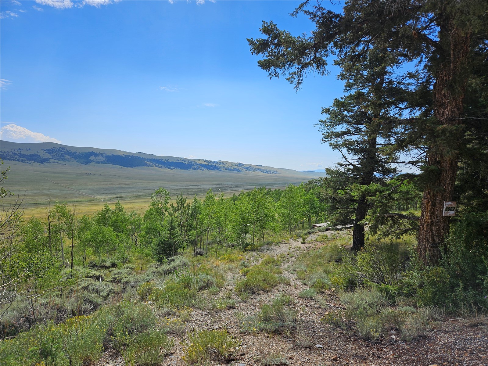 3062 Redhill Road Fairplay, CO 80440 - Photo 12 of 47 Gallery Image 12