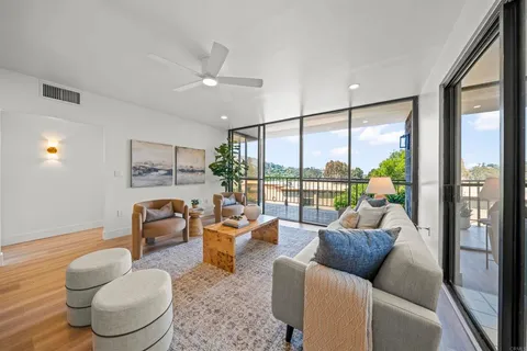 a living room with furniture and a potted plant