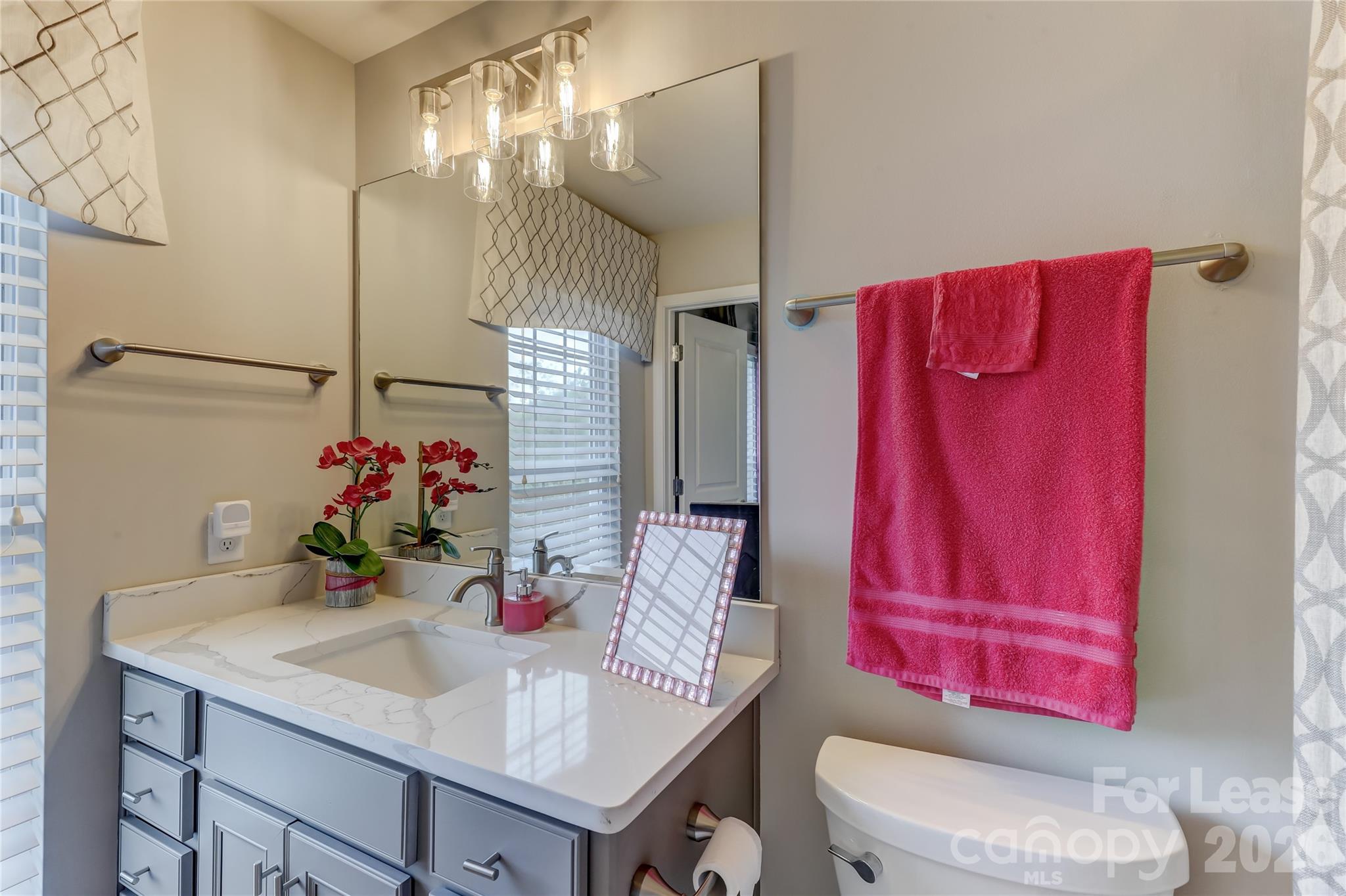 905 Lyndley Drive Fort Mill, SC 29708 - Photo 30 of 42 a bathroom with a sink vanity mirror and toilet
