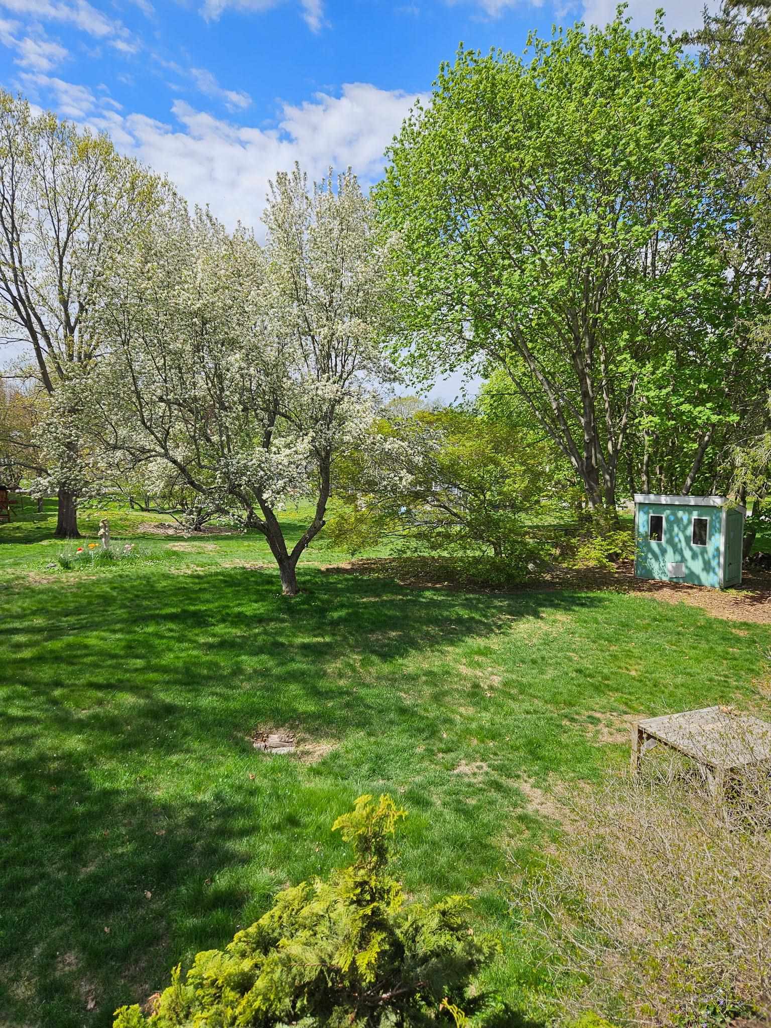 2 Shirley Lane Stratham, NH 03885 - Photo 38 of 39