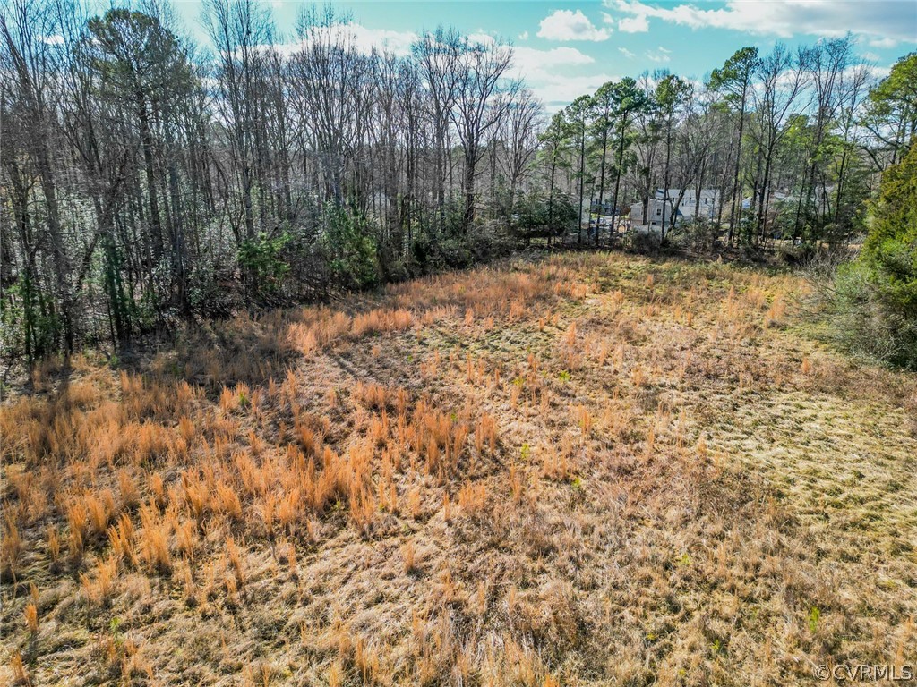 9527 Reams Road Chesterfield, VA 23236 - Photo 4 of 7 a view of a yard with large trees