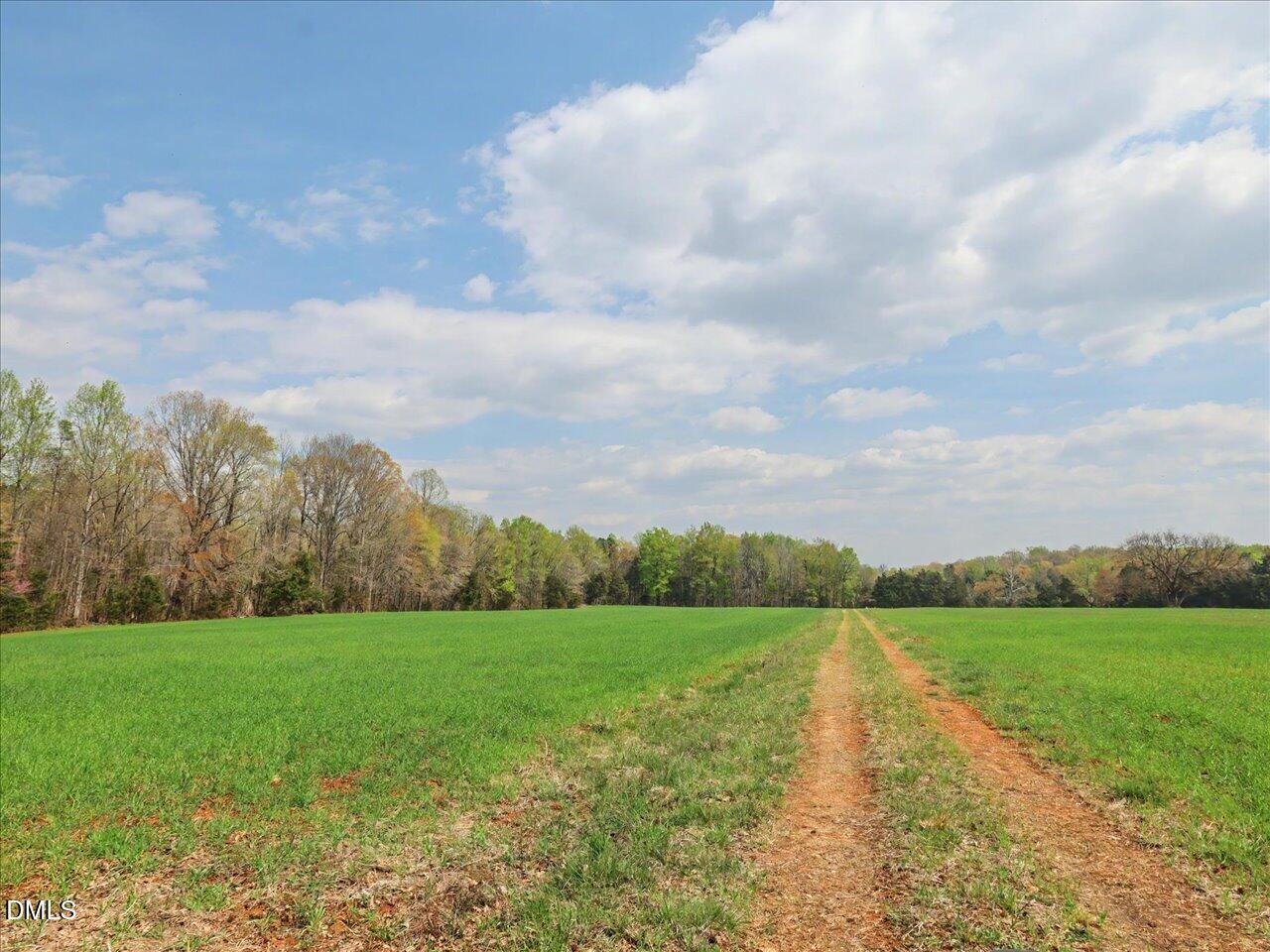 7793 Ridgeville Road Leasburg, NC 27291 - Photo 22 of 91