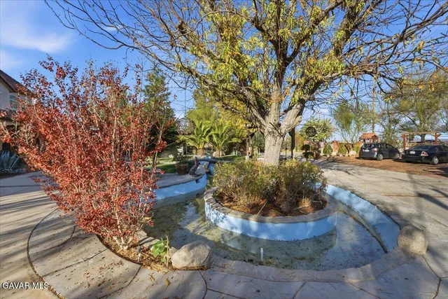 a view of a dry yard with wooden fence