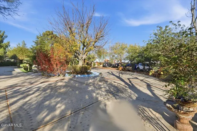 a view of a dry yard with wooden fence