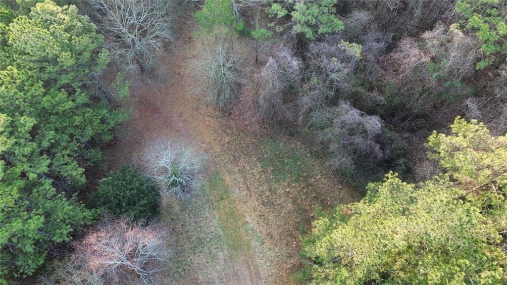 8165 Highway 81 Bethlehem, GA 30620 - Photo 15 of 17