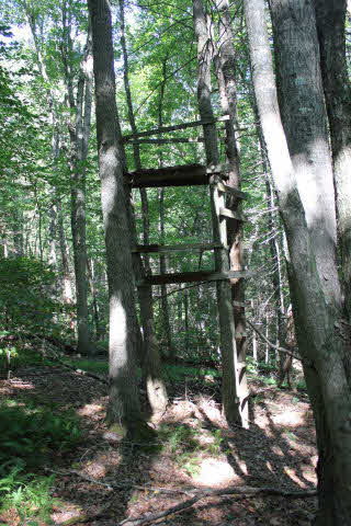 19815 Blue Hole Road Criders, VA 22820 - Photo 3 of 14 Gallery Image 3