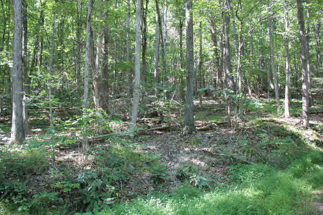 19815 Blue Hole Road Criders, VA 22820 - Photo 5 of 14 Gallery Image 5