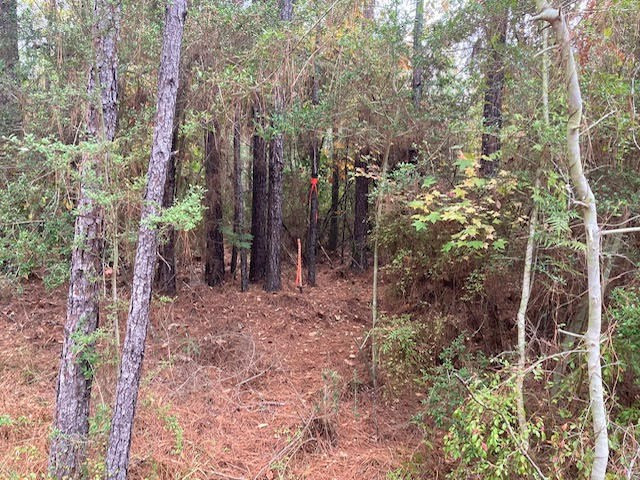 0 East Lewiston Road Kentwood, LA 70444 - Photo 5 of 26 Photo 5